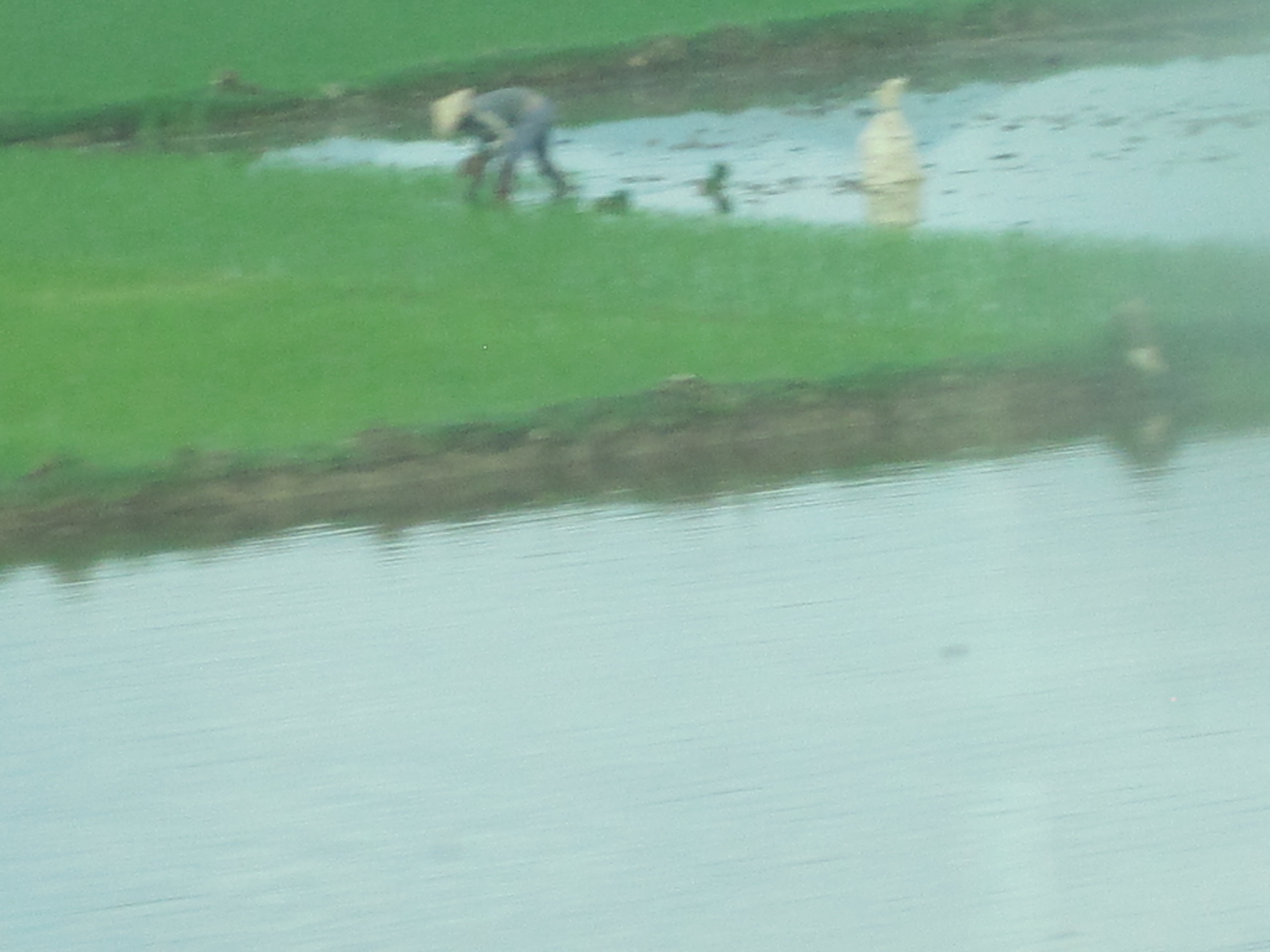 Folk på jobb på rismarkedet kl. 5 på morgenen.