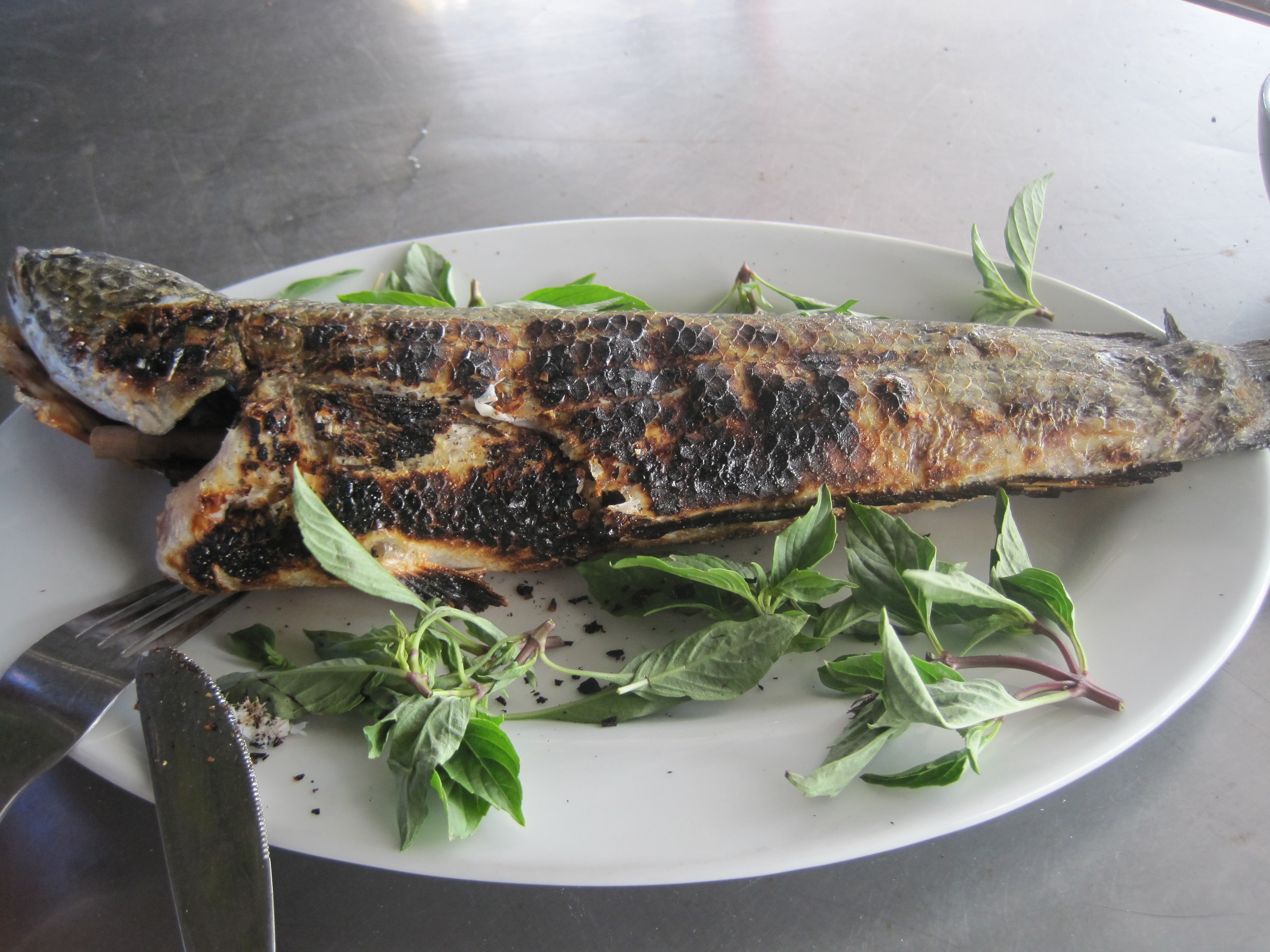 Slik så fisken ut etterhvert. Men jeg hadde inntil da mistet litt av apettiten. :(