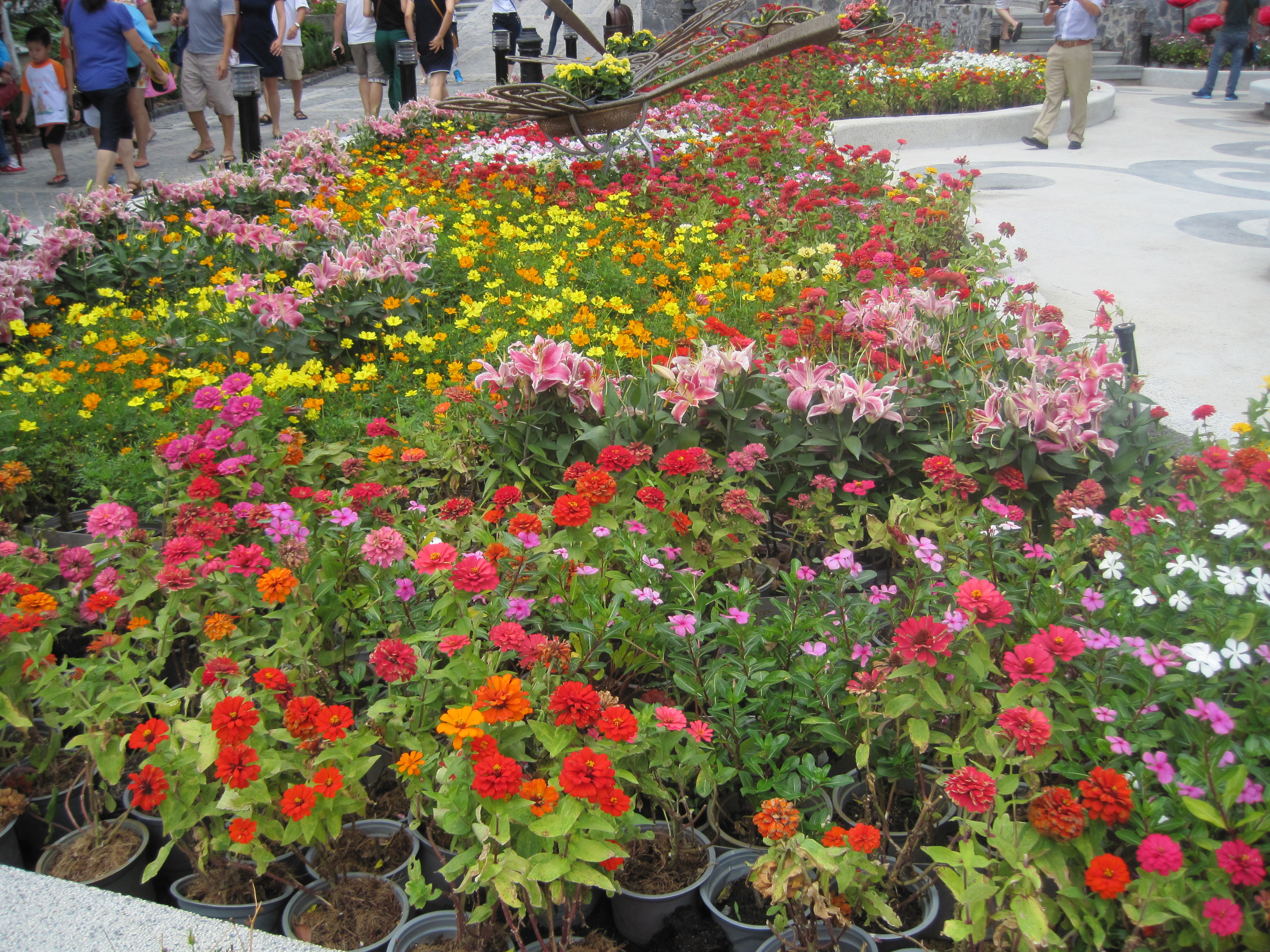 Blomsterprakt i Ba Na Hills.