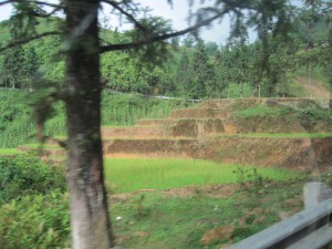 Sapa fra bussvinduet.