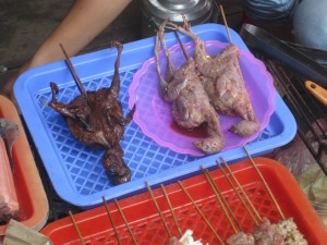 Hva slags fugl dette er, er ikke godt å vite. Jeg turde ihvertfall ikke å smake på det.