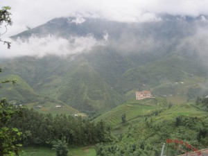 Utsikten fra vinduet mitt.