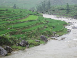 Utsikten fra restauranten.