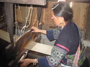 Her veves fin stoff av marihuanaplante.