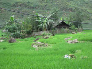 Utsikt fra baksiden av huset til guiden.