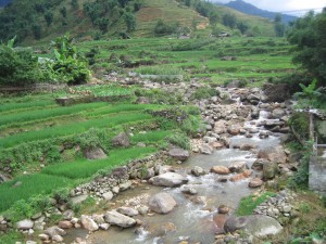 Elv langs landsbystien.