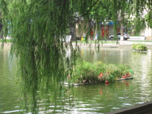 Fortsatt ved innsjøen.