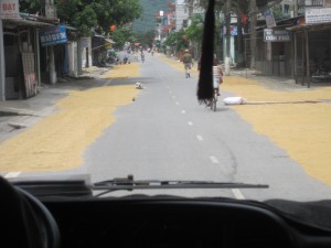 Det blir tørket ris langs veien. Biler kjører rundt.