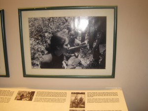 Fæl bilde, og flere kommer.