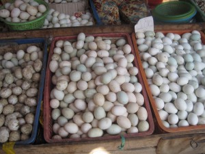 Egg fra forskjellige fugler og høner.